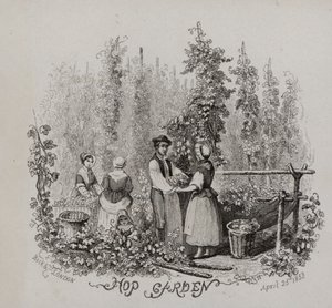 Giardino di luppolo (incisione)