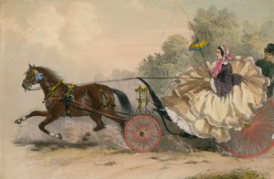 Cavallo e carrozza a tutta velocità con una signora alla frusta; prostituzione da English School