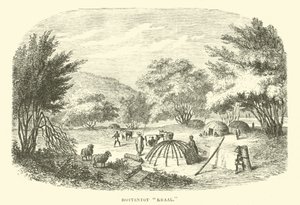 Kraal ottentotto