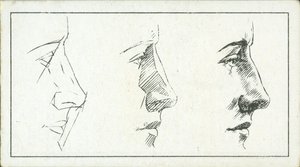 Come disegnare: Il naso da English School