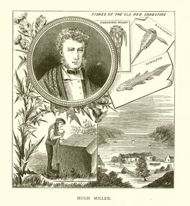 Hugh Miller da English School