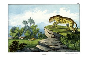 Leopardo da caccia da English School