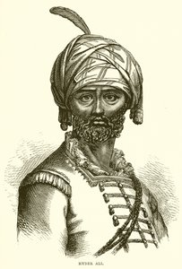 Hyder Ali da English School