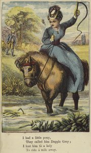 Avevo un piccolo pony