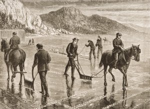Raccolta del ghiaccio sul fiume Hudson, Stato di New York, c.1870, da 