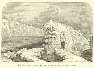 Iceberg e parte di un campo di ghiaccio polare