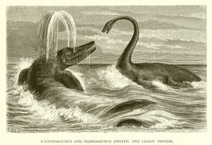 Ittiosauro e Plesiosauro, Sistema Oolitico e Liassico da English School