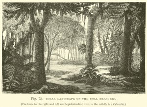 Paesaggio ideale delle misure del carbone da English School