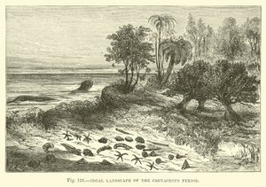 Paesaggio ideale del periodo cretaceo da English School