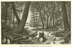 Veduta ideale di una foresta paludosa del periodo carbonifero da English School