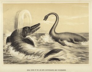 Scena ideale del Lias con Ichthyosaurus e Plesiosaurus da English School