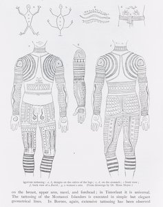 Tatuaggio Igorrote, da 
