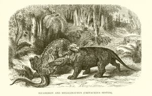 Iguanodonte e Megalosauro, Sistema Cretaceo da English School