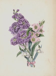 Illustrazione per Moss Rose Album