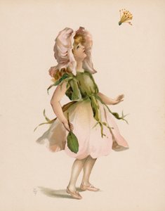 Illustrazione per Il Linguaggio dei Fiori