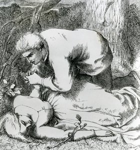Illustrazione da 