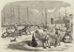 Illustrazioni della guerra in America da English School