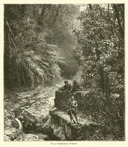 In una foresta di Formosa