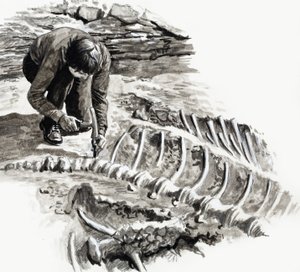 Nei giorni dei dinosauri: Battaglia dei giganti da English School