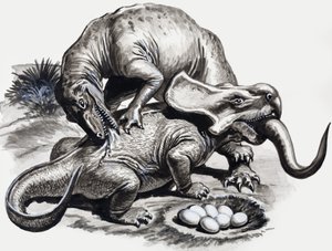 Nei giorni dei dinosauri: scoperta nel deserto da English School