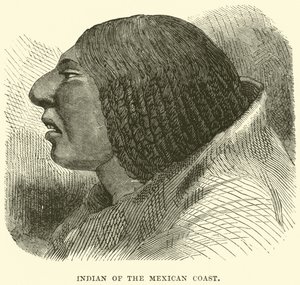 Indiano della costa messicana