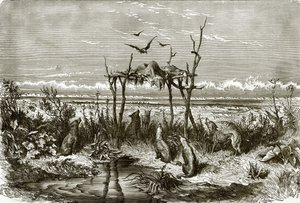 Sepolcro indiano nella prateria di erba alta, sul fiume Saskatchewan da English School