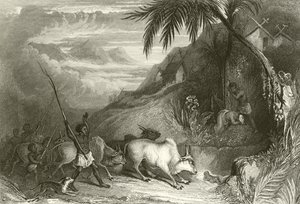 Infanticidio in Madagascar