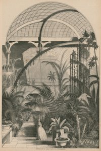 Interno del Grande Palmarum, Giardini di Kew, Londra