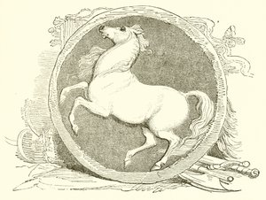 Invicta, l