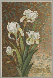 Iris (cromolitografia) da English School