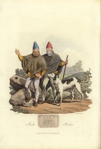 Brehon irlandesi