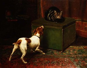 Animali Gelosi da English School