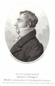 Jean Vincent Félix Lamouroux da English School
