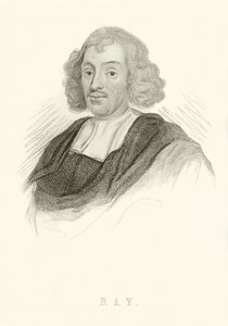 John Ray