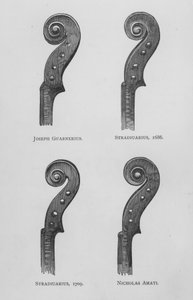 Joseph Guarnerius; Stradivari da English School