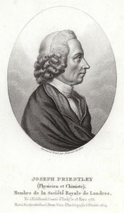 Joseph Priestley da English School