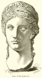 Giunone (Villa Ludovisi) da English School
