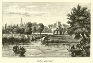 Kidney Backwater da English School
