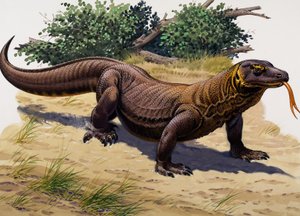 Komodo Dragon (gouache on paper)