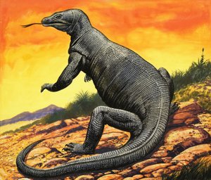 Drago di Komodo da English School