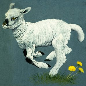 Agnello da English School