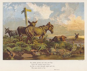Paesaggio con asini e uccelli (litografia a colori) da English School
