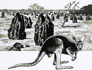 Grandi termitai vicino a Darwin, Australia, e un canguro in primo piano da English School