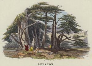 Libano