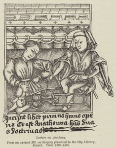 Lezione di anatomia (incisione)