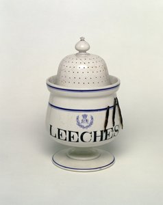 Vaso per sanguisughe da English School