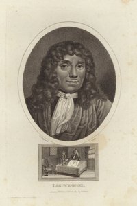 Leeuwenhoek da English School