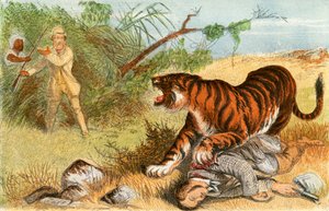 Tenente Rice e la tigre