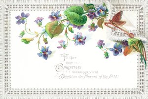 Fiori di campo lilla e farfalla