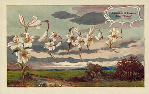 Giglio significa pace nel linguaggio dei fiori (litografia a colori) da English School